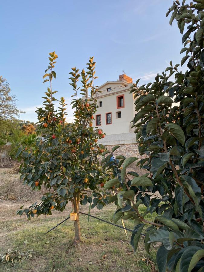Hotel Rural Mas De L'Illa Tivissa Buitenkant foto